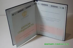 Купить диплом в Владимире Московской академии предпринимательства (г. Истра)